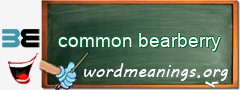 WordMeaning blackboard for common bearberry